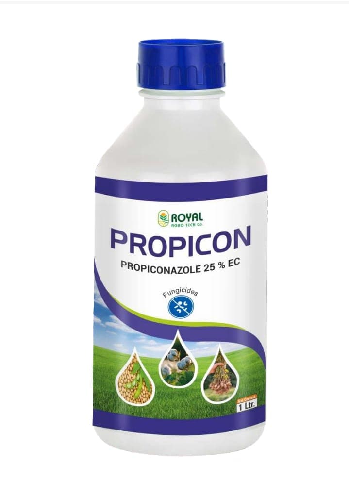 PROPICON