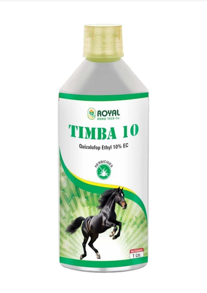 TIMBA 10