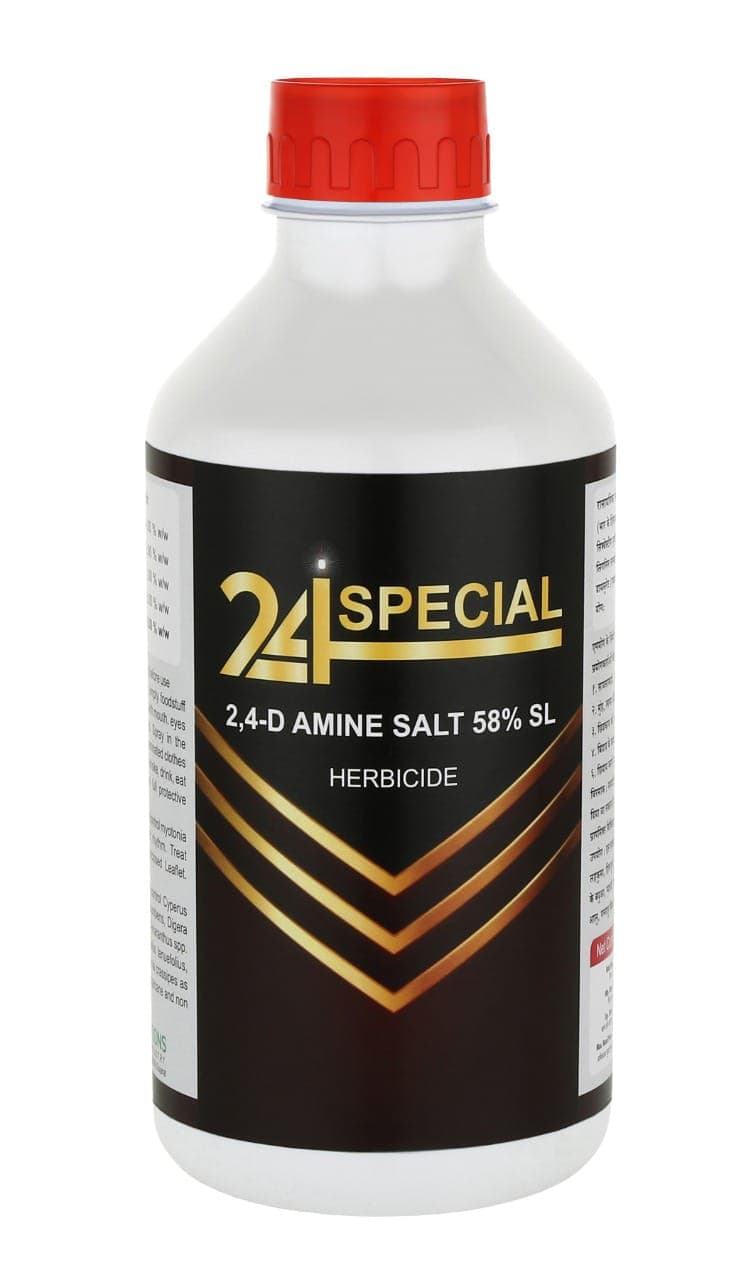 24-D Special