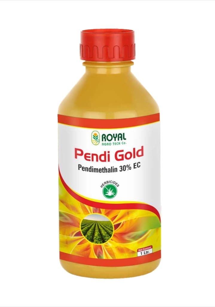Pendi Gold