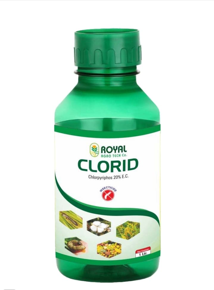 CLORID