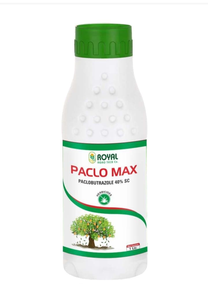 Paclo Max